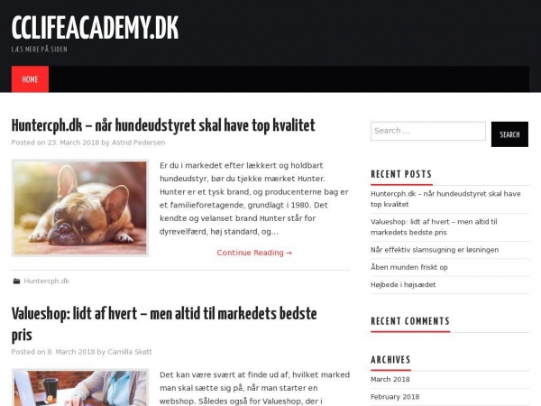 cclifeacademy.dk