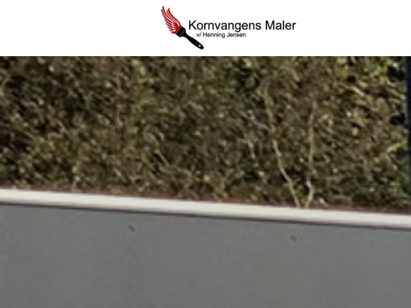 kornvangensmaler.dk