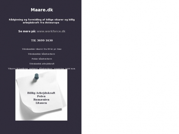 maare.dk