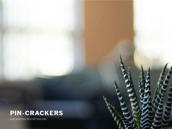 pin-crackers.dk