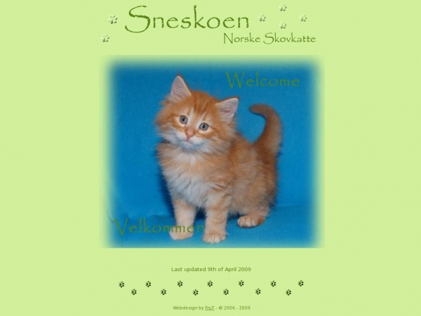 sneskoen.dk