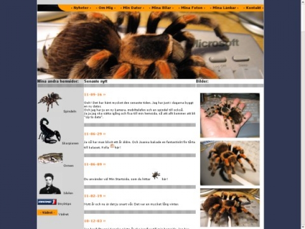 spindeln.dk