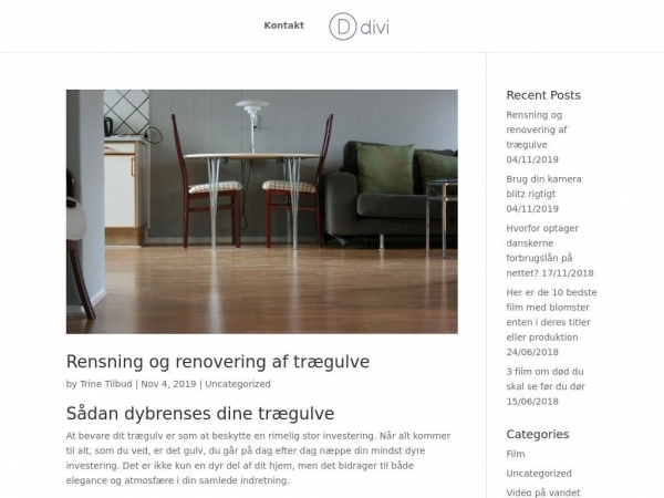 talentcampodense.dk