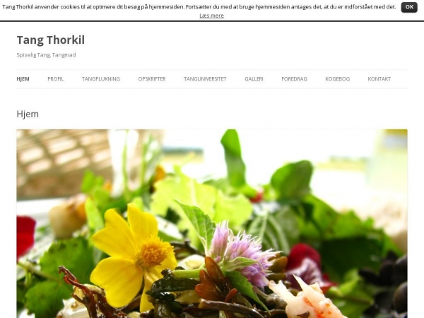 tang-thorkil.dk