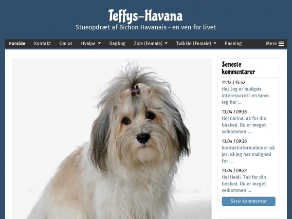 teffys-havana.dk