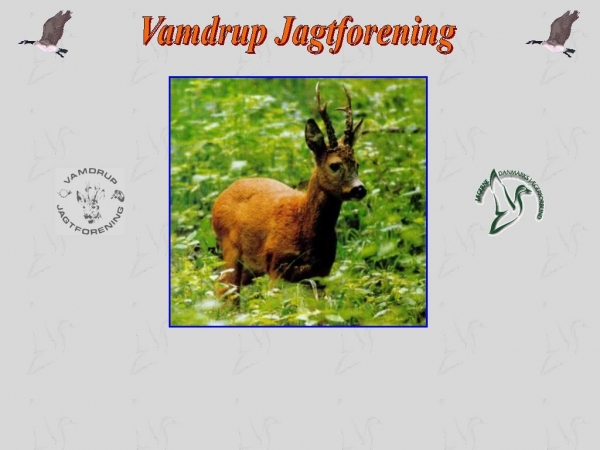 vamdrupjagt.dk